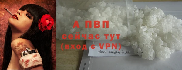 винт Верея