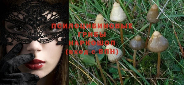винт Верея